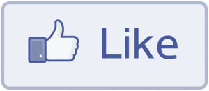 Facebook Like Button adr Business & Marketing Strategies providing website design, marketing services, video productions | 256.345.3993